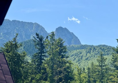 mieszkanie na sprzedaż - Zakopane